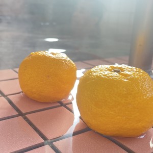 【入所】ゆず風呂🍊🛁
